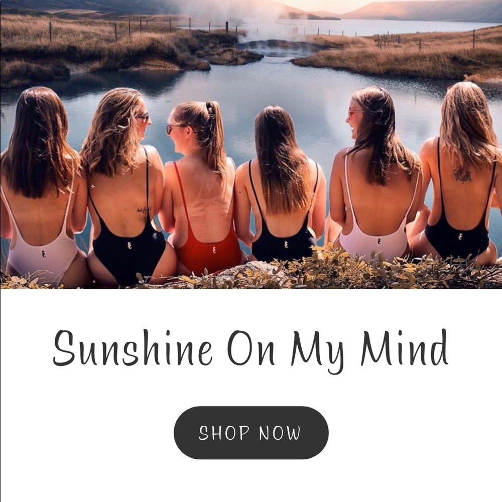 Help! ISO Sunny co swim suits!